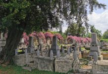 Japanese Cemetery Park: Tranquil Spot Hidden Away In Hougang Japanese Cemetery Park: Tranquil Spot Hidden Away In Hougang