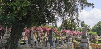 Japanese Cemetery Park: Tranquil Spot Hidden Away In Hougang