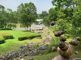 Jurong Eco-Garden: Hidden Park At The Fringe Of NTU