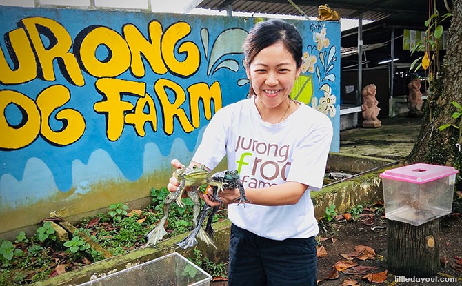 Kranji Countryside Tour