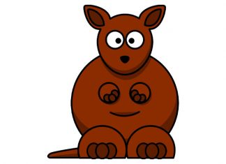 50+ Kangaroo Jokes To Make You Jump For Joy 50+ Kangaroo Jokes To Make You Jump For Joy