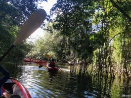 Family Review: 6 Reasons Why You Should Kayak To Sungei Khatib Bongsu
