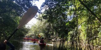 Family Review: 6 Reasons Why You Should Kayak To Sungei Khatib Bongsu