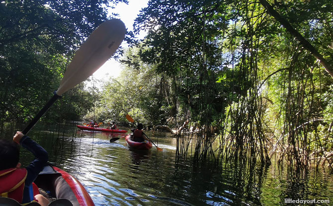 01-kayak Family Review: 6 Reasons Why You Should Kayak To Sungei Khatib Bongsu