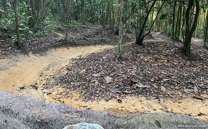 Kent Ridge Park Mountain Biking Trail