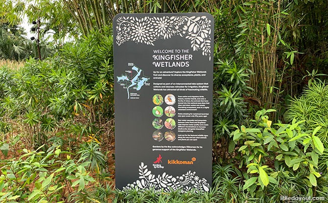 Kingfisher Wetlands - Wildlife Sanctuary in the City