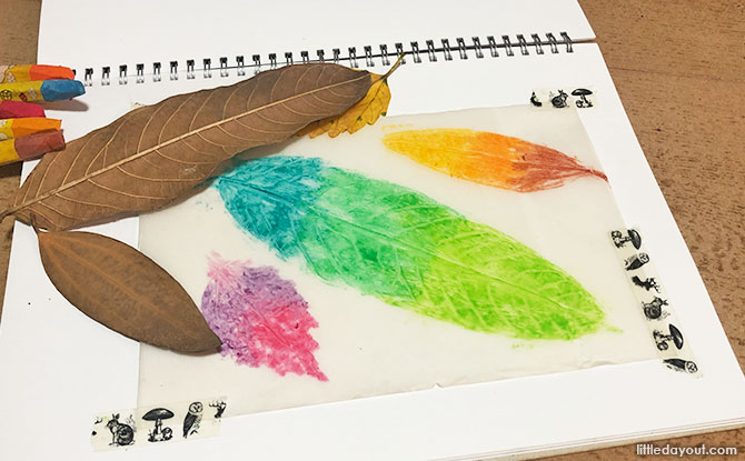 Leaf Rubbing Art: A Combination of Science and Art