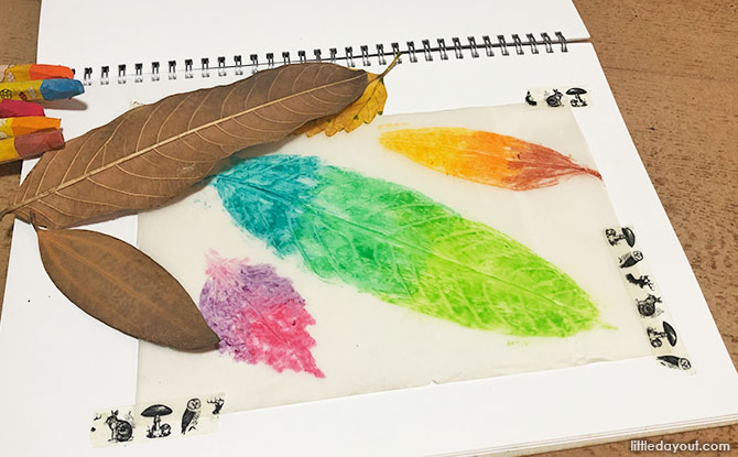 01-leaf-rubbing Leaf Rubbing Art: A Combination of Science and Art