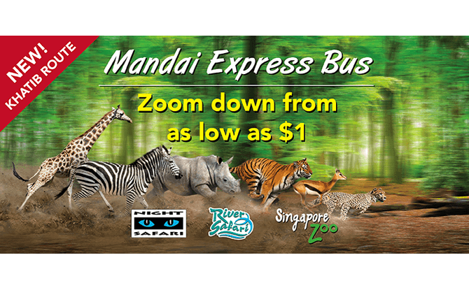 Mandai Express Bus - How to Get to Singapore Zoo