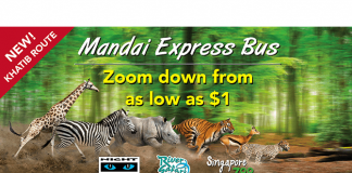 Mandai Express Bus