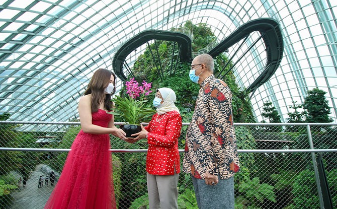 From left to right: Mediacorp actress Rebecca Lim presenting an Aranda ‘Gardens by the Bay’ orchid to President Halimah Yacob and Mr Mohamed Abdullah Alhabshee during the recording of the Gardens by the Bay and Mediacorp National Day Concert