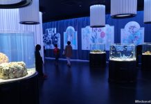 NIFREL In Osaka, Japan: A Unique Aquazoo Experience