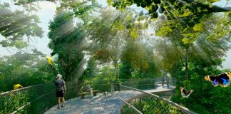 Help Shape The Bukit Timah-Rochor Green Corridor Project