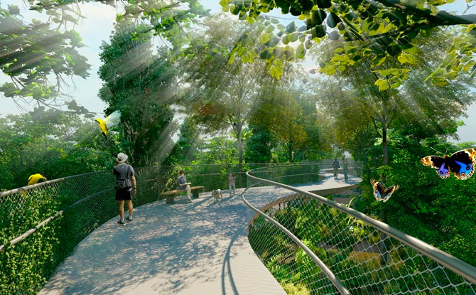 Help Shape The Bukit Timah-Rochor Green Corridor Project