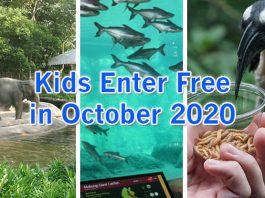 Kids Enter Free To Singapore Zoo, Jurong Bird Park & River Safari In October 2020