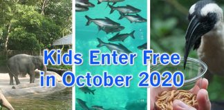 Kids Enter Free To Singapore Zoo, Jurong Bird Park & River Safari In October 2020