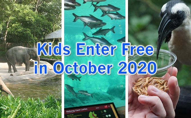 Kids Enter Free To Singapore Zoo, Jurong Bird Park & River Safari In October 2020