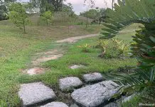 01-off-the-beaten-path-parks-in-singapore