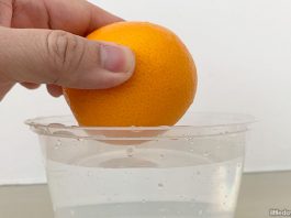 Science Sunday Experiment: Do Oranges Float Or Sink?