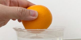 Science Sunday Experiment: Do Oranges Float Or Sink?