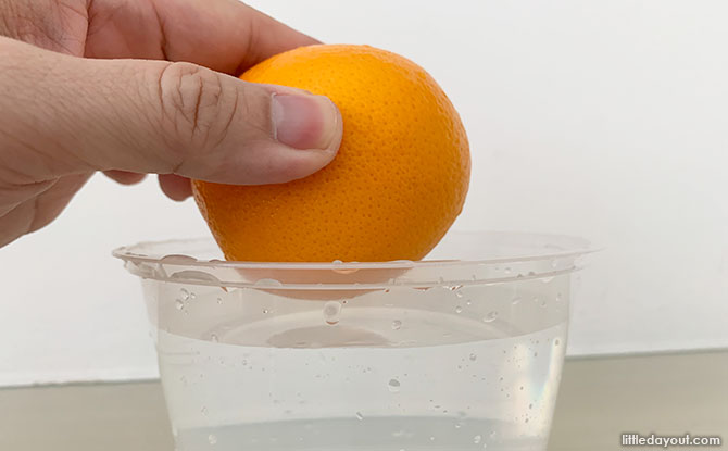 Science Sunday Experiment: Do Oranges Float Or Sink?