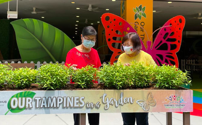 Therapeutic Garden at OTH Learning Journey