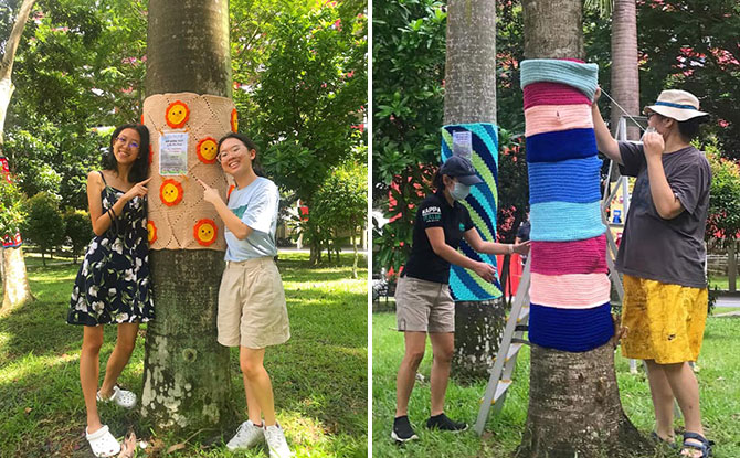 Our Yarny Trees: Yarn Bombing In Yio Chu Kang