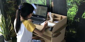 Cardboard Desk From Paper Carpenter