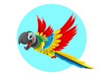 40+ Parrot Jokes To Tickle Your Feathers 40+ Parrot Jokes To Tickle Your Feathers