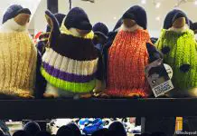 A Trip To See The Phillip Island Penguins, Melbourne, Australia A Trip To See The Phillip Island Penguins, Melbourne, Australia