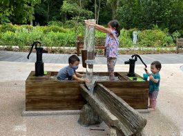 Photosynthesis Water Play Area Opens At Jacob Ballas Children’s Garden