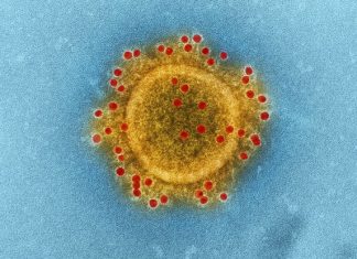 Inter-School Activities And External School Activities Suspended Till End Of March School Holidays 01-resources