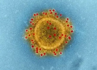 Inter-School Activities And External School Activities Suspended Till End Of March School Holidays 01-resources