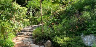 Rock Garden At HortPark: A Collection Of Botanical Shapes