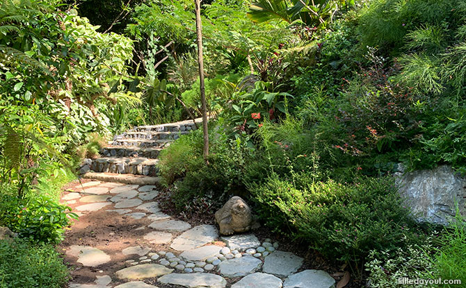 Rock Garden At HortPark: A Collection Of Botanical Shapes