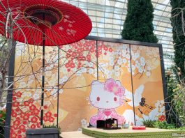 Gardens By The Bay’s Sakura Floral Display 2021: Pretty In Pink With Hello Kitty