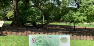 The $5 Note Tree