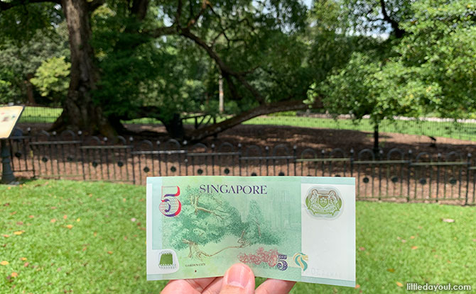 01-sbg-tree The $5 Note Tree