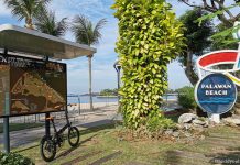 Little Day Out’s Guide To Cycling In Sentosa: Trails, Places To Explore & Bike Rentals Little Day Out’s Guide to Cycling in Sentosa