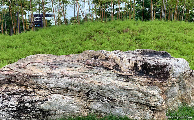 Gardens by the Bay's Zen Outdoor Garden