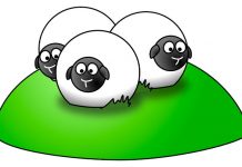 80+ Sheep Jokes To Get Ewe Laughing