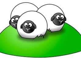 80+ Sheep Jokes To Get Ewe Laughing