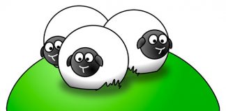 80+ Sheep Jokes To Get Ewe Laughing