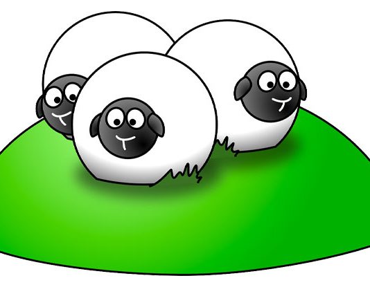 80+ Sheep Jokes To Get Ewe Laughing