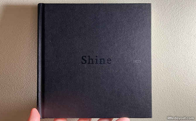 Book Review: Shine By Ng Zi Ning