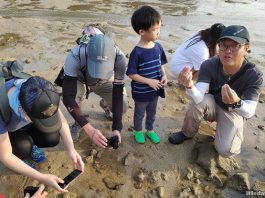 Free Family Fun at Sisters’ Island Marine Park Intertidal Guided Walk by NParks