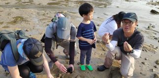Free Family Fun at Sisters’ Island Marine Park Intertidal Guided Walk by NParks