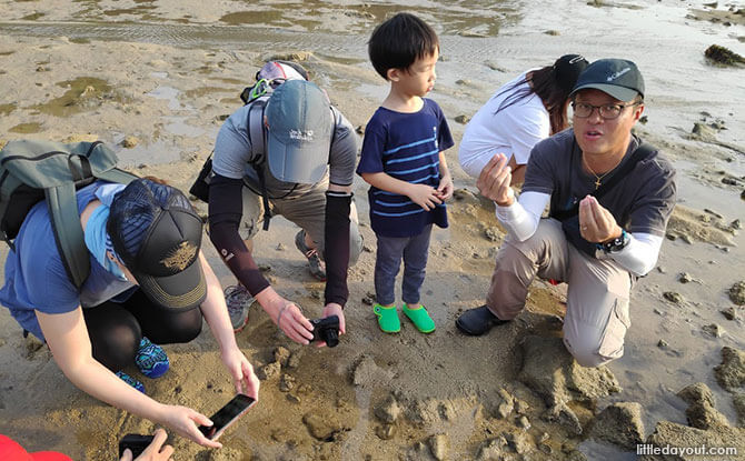 Free Family Fun at Sisters’ Island Marine Park Intertidal Guided Walk by NParks