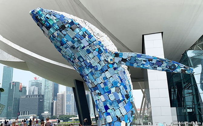 The Bruges Whale in Singapore