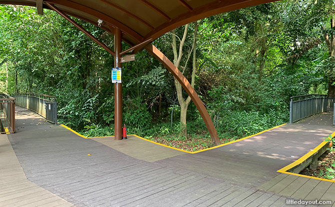 Heading out on the Sungei Buloh Mangrove Boardwalk